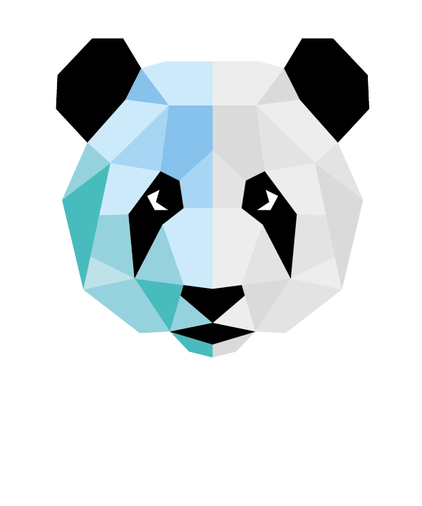 Panda Vision Logo, weiße Schrift